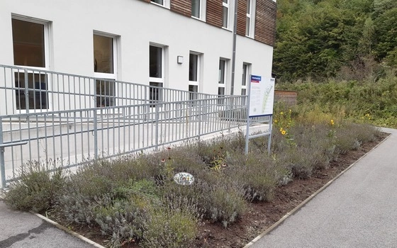 Das Bild zeigt den Eingangsbereich von Schmid Schrauben nach einer naturnahen Aufwertung mit Lavendel, Glanzrosen und Sanddorn