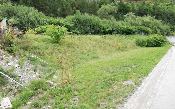 Das Foto zeigt den Parkplatzhang mit einem kleinen Ausschnitt der Parkfläche vor einer naturnahen Umgestaltung